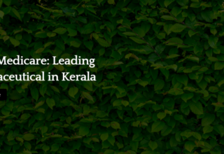 digital marketing strategist in kannur